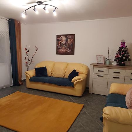 Central Lala Apartament Leilighet Braşov Eksteriør bilde