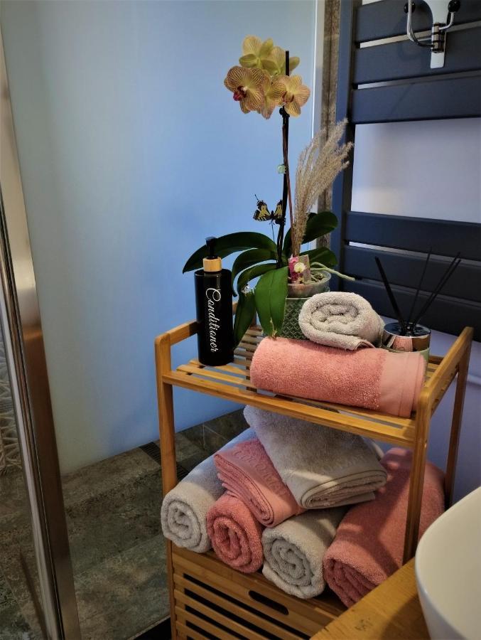 Central Lala Apartament Leilighet Braşov Eksteriør bilde